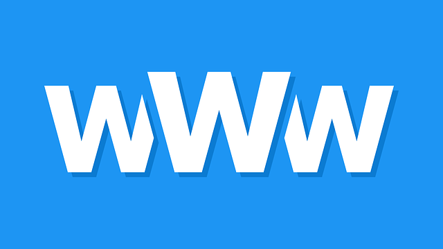 网站域名带www和不带www哪个更有利于SEO？