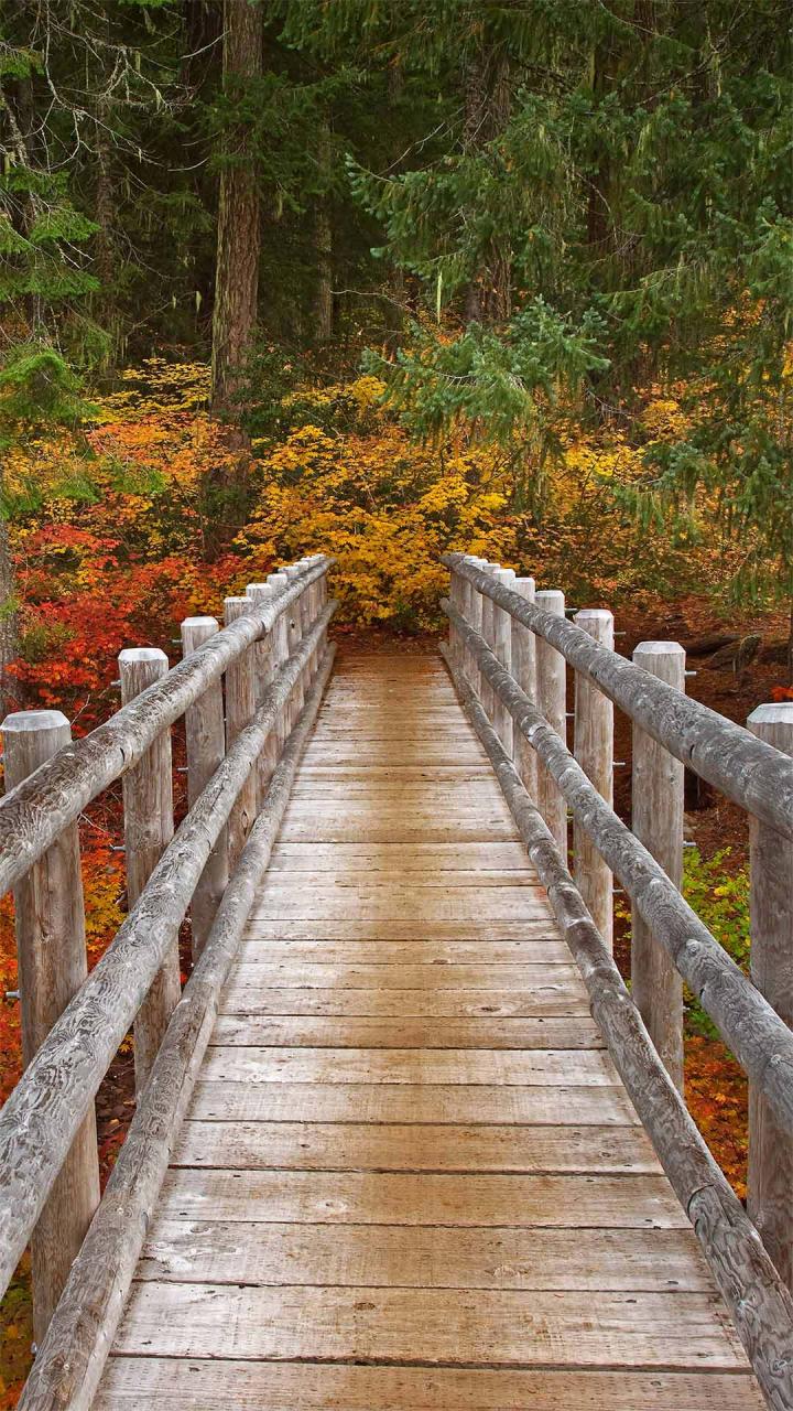 1080*1920每日图片手机超高清