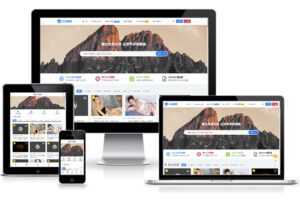 Riplus火车头发布模块