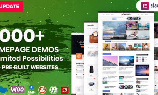 Soledad主题如何备份主题设置项?