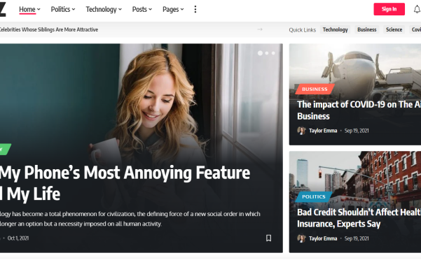 2022年最新WordPress新闻博客主题Foxiz主题评测