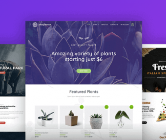 Astra主题中文演示站点