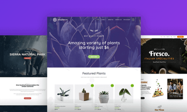 Astra主题中文演示站点