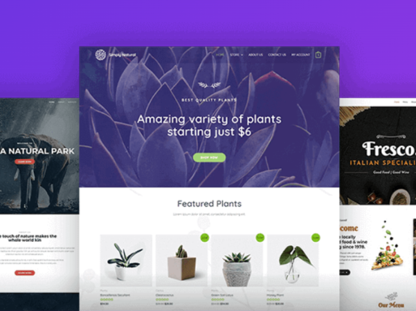 Astra主题中文演示站点