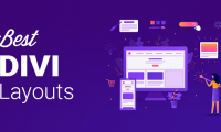 Divi (迪维) 是什么意思?和 Divi Builder 有什么区别?
