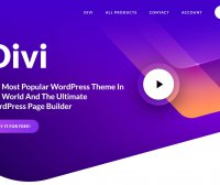 DIVI主题中文演示站点合辑