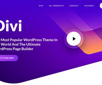 DIVI主题中文演示站点合辑