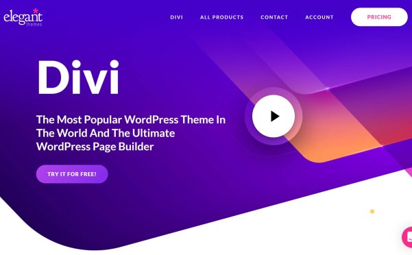 DIVI主题中文演示站点合辑
