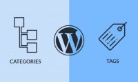 WordPress中的分类和标签有什么区别?如何使用分类与标签?
