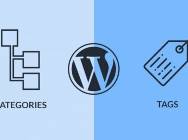 WordPress中的分类和标签有什么区别?如何使用分类与标签?