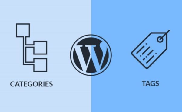 WordPress中的分类和标签有什么区别?如何使用分类与标签?