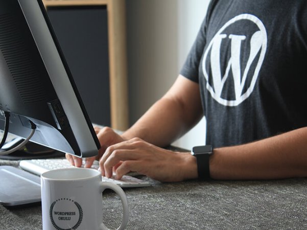 WordPress网站被挂码的解决方案