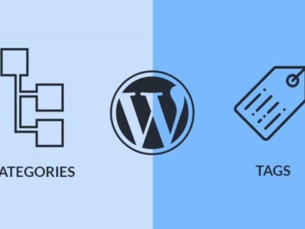 WordPress中的分类和标签有什么区别?如何使用分类与标签?
