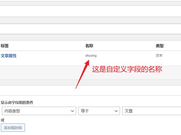 Impreza主题如何给按钮显示自定义字段?
