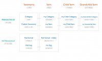 Taxonomy与category及term之间的区别