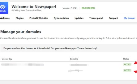 Newspaper主题可以授权几个域名?