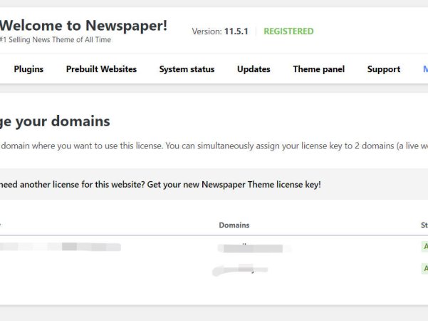 Newspaper主题可以授权几个域名?