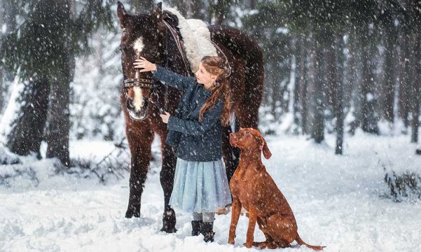2024年好用的wordpress国产主题推荐