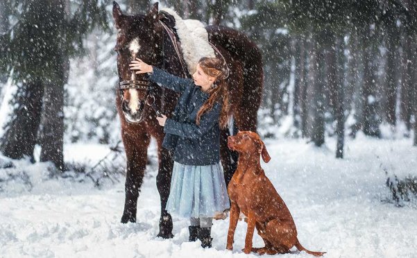 2024年好用的wordpress国产主题推荐