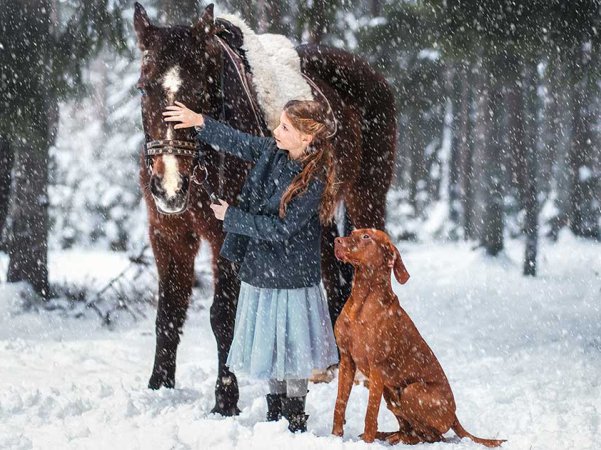 2024年好用的wordpress国产主题推荐
