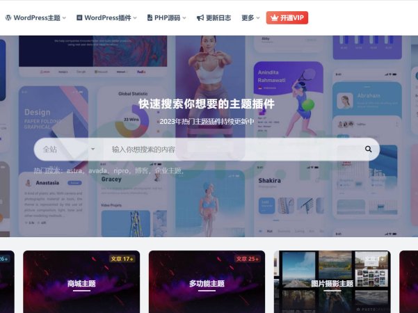 Ripro V2主题美化教程合辑