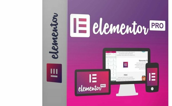 Elementor Pro插件GPL激活版 V3.14.0 持续更新中