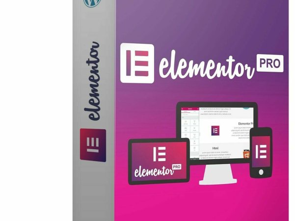 Elementor Pro插件GPL激活版 V3.14.0 持续更新中
