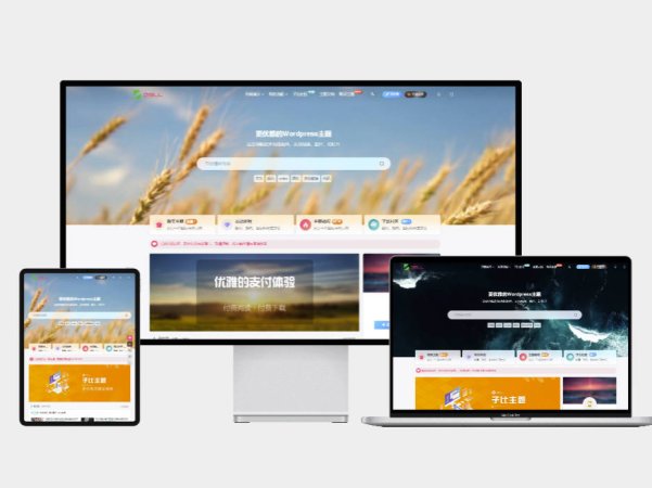 子比主题购买某产品自动成为VIP会员的教程