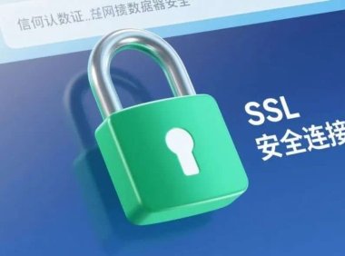 国内外免费SSL证书大全,用了立省999元