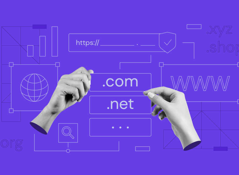 关于域名删除类型的说明