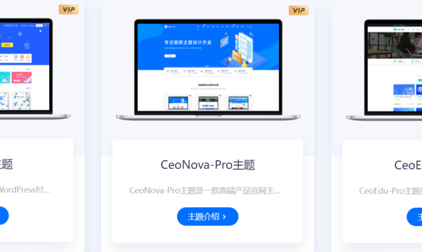 总裁主题怎么样?值得买吗?