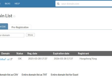 INWX网站如何修改域名的DNS?