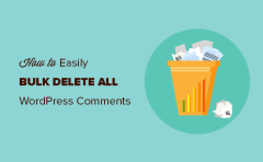 wordpress使用代码一键删除所有待审评论的方法